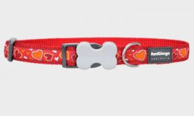 Red Dingo Dog Collar Breezy Love Red 