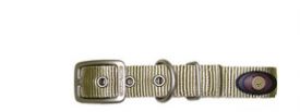 Hamilton Dog Collar Gold 20cm