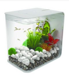 Biorb Flow Led Aquarium 15 Litre