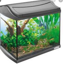 Aqua Art Shrimp Aquarium 20l