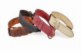 Camon Moose Leather Collar