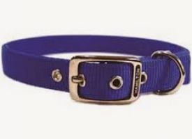 Hamilton Nylon Deluxe Collar