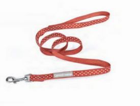 image of Red Leash With White Spots