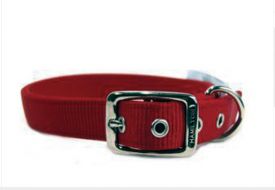 Hamilton Nylon Deluxe Dog Collar Red