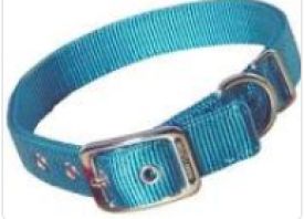 Hamilton Double Thick Nylon Dog Collar Teal 26