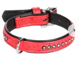 Flamingo Collar Padded Monte Carlo Red
