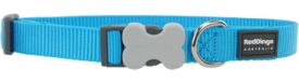 Red Dingo Smooth Turquoise Dog Collar