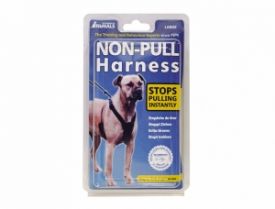 Animals Non-pull Training Dog L