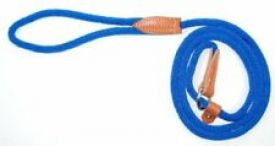 Training Blue Lead