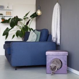 Box Lazy Dark Grey