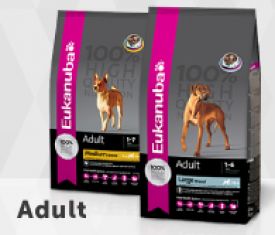 Eukanuba Adult