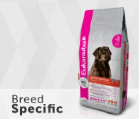 Eukanuba Breed Specific