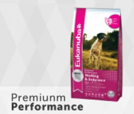 Eukanuba Premium Performance