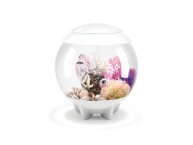 Biorb Halo 15 Litre Mcr White