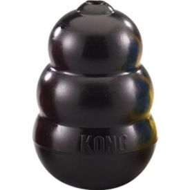 Kong Extreme Toy
