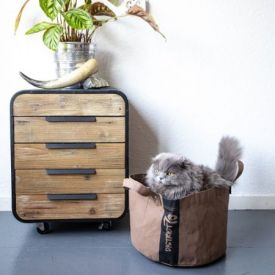 image of Paper Brown