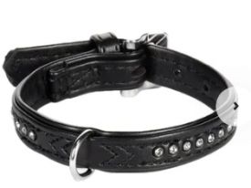 Flamingo Collar Padded Monte Carlo Black