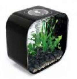 Biorb Life 30 Litre Coldwater Black