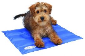 Scruffs - Cooling Mat Blue Small