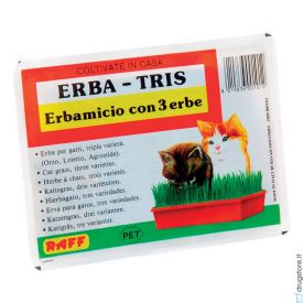 image of Cat Grass