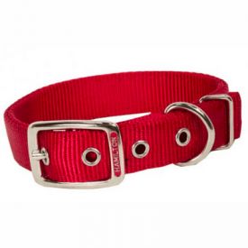 Hamilton Classic Nylon Dog Collar Red