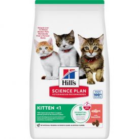 Hills Sience Plan Kitten Dry Salmon