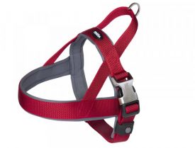 Harness Classic Preno Royal