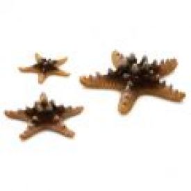 Biorb Sea Stars Natural (3pk)