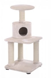 Cat Scratcher Femi