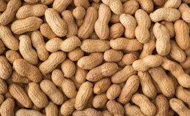 image of Peanuts 