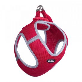  Mesh Harness Delight 