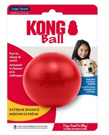 KONG Ball With Hole XL