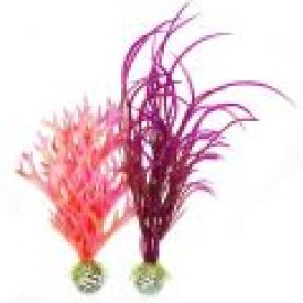 Biorb Coloured Easy Plants Pink/red