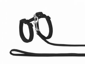 Nobby Cat Set Harness With Leash 