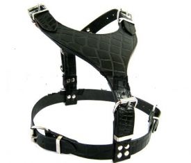 Leather Harness