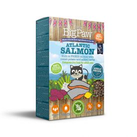 Little Big Paw Dry Cat Adult Atlantic Salmon
