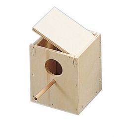 Makarounas small budgie nest