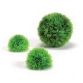 Biorb Aqua Topiary Moss Balls