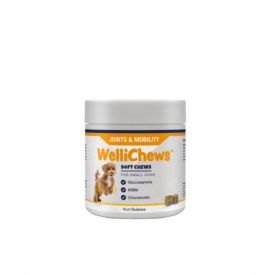 Wellichews Joint Small Dog 10mm/1g120 chews