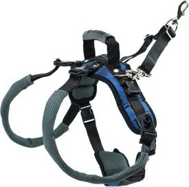 PetSafe Rear Support Harness