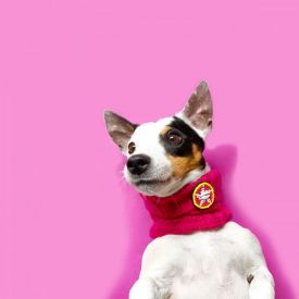 image of Dog With A Mission - Lucy Medium Dog Snood Red