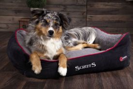 Scruffs - Thermal Box Bed (l) Black