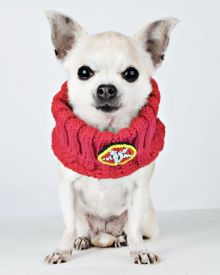 Dog With A Mission - Lucy Small Dog Snood Red