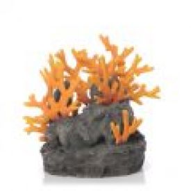 Lava Rock with Fire Coral Sculpture – biOrb