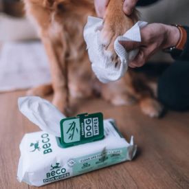 Beco Pets - Bamboo Unscented Wipes 80
