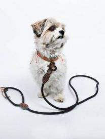 image of Dog With A Mission - Stone Dog Leash Large