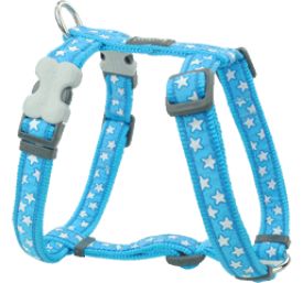 Red Dingo Harness One Touch Style Stars Turquoise