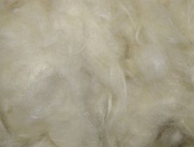 Nobby Kapok Wool