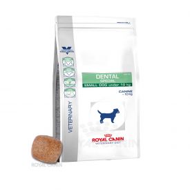 Royal Canin Dental Small Dog