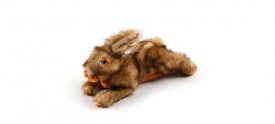 Pawise Classic - Brown Rabbit